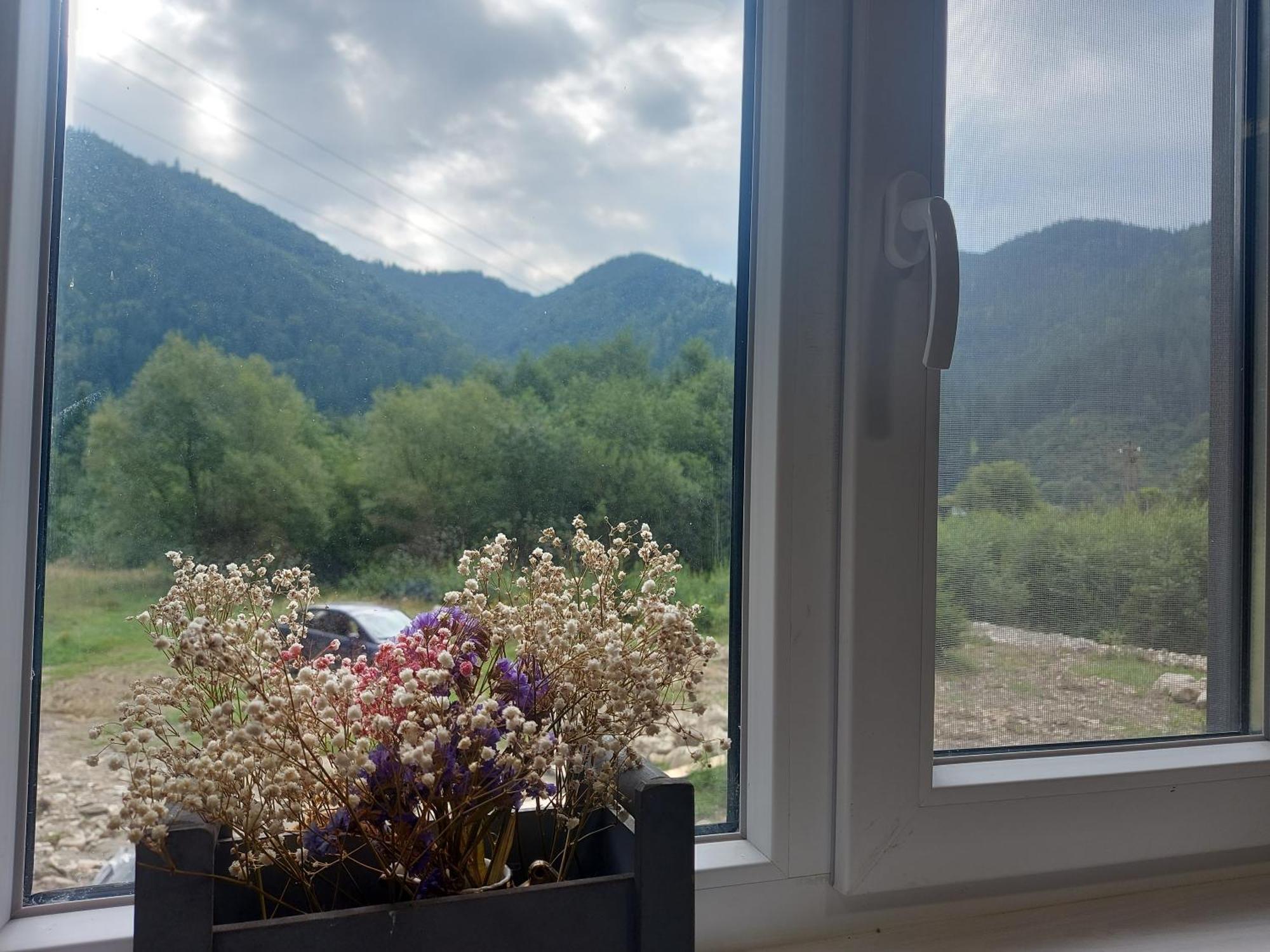 Ferienwohnung Мріяти Krivorovnya Exterior foto