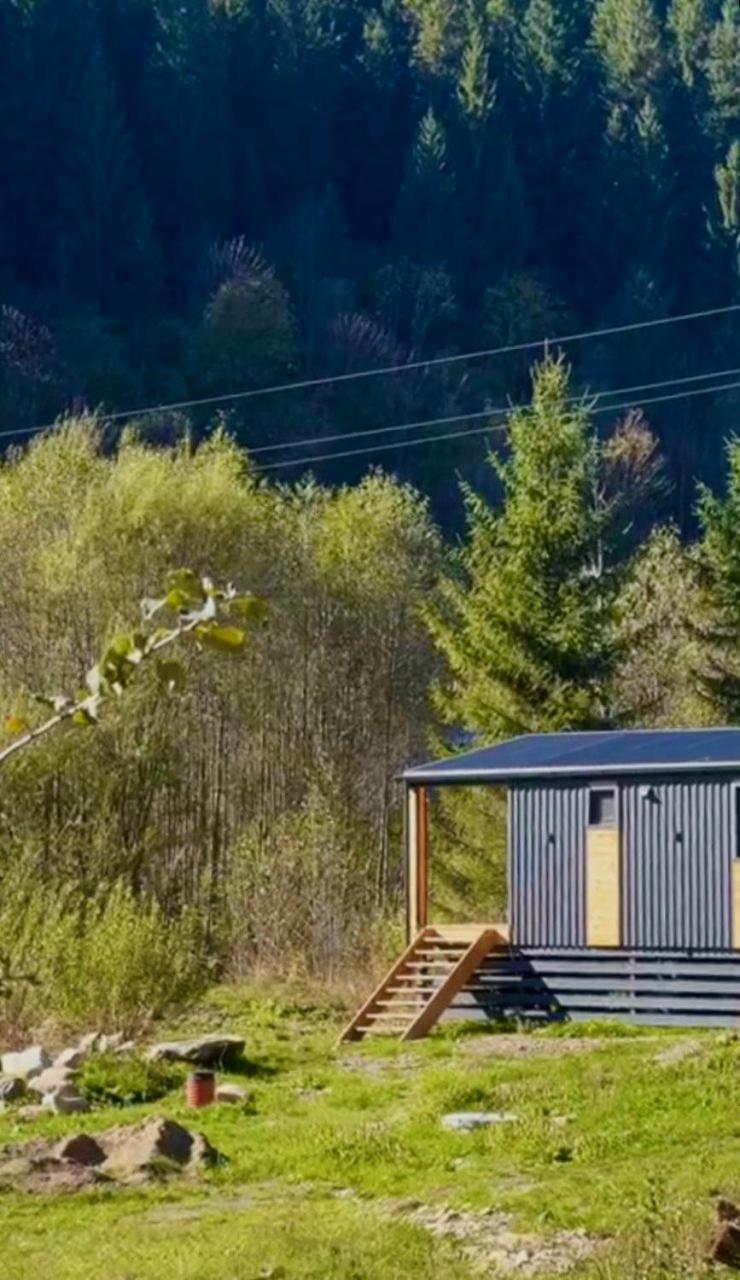Ferienwohnung Мріяти Krivorovnya Exterior foto