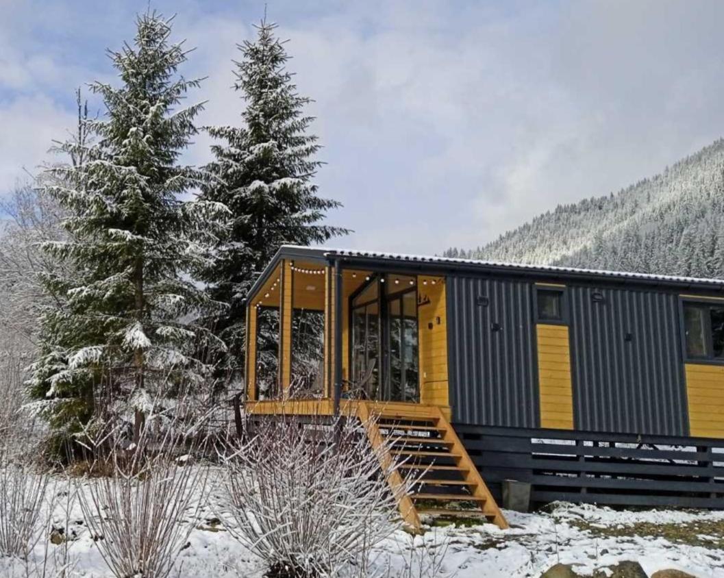 Ferienwohnung Мріяти Krivorovnya Exterior foto