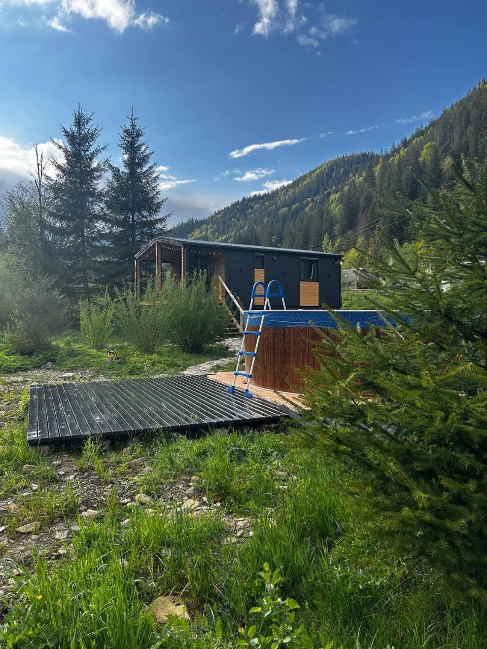 Ferienwohnung Мріяти Krivorovnya Zimmer foto